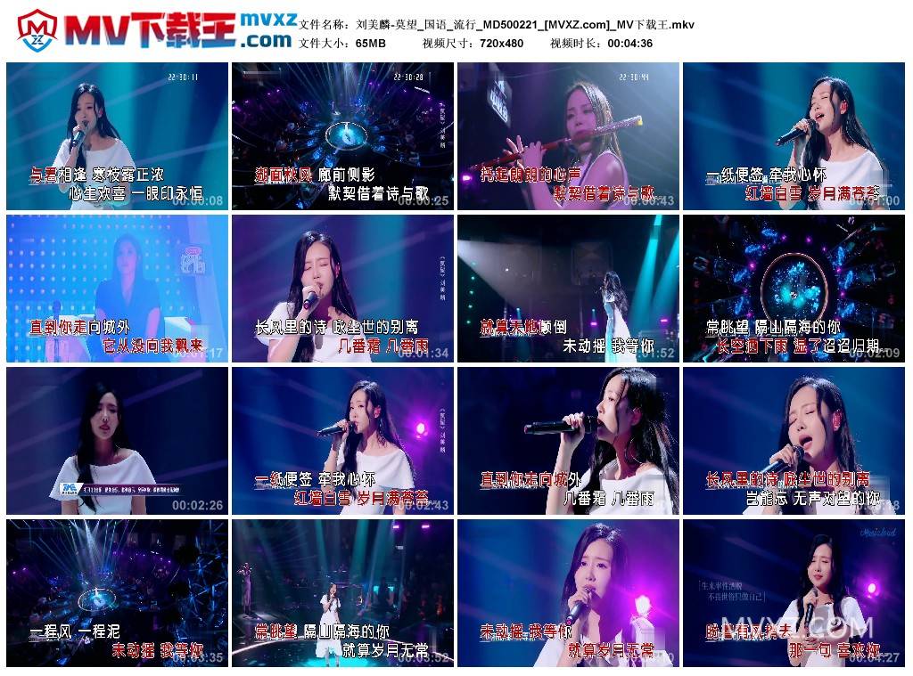 刘美麟-莫望_国语_流行_MD500221